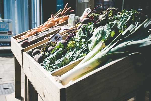 Juicing To Cure Disease