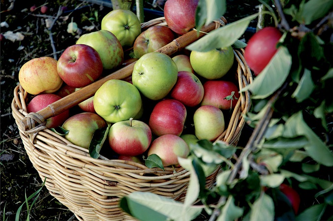 Apple Best Juice For High Blood Pressure 