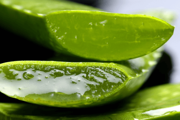 Aloe Vera Juice For Asthma